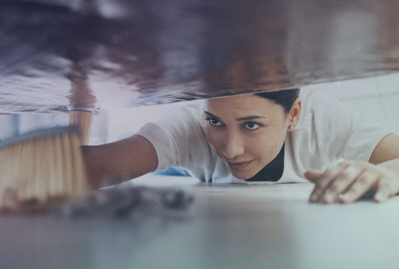 Frühlingserwachen: frisch geputzt, gut geschlafen