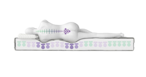 2. Profil de soutien du corps